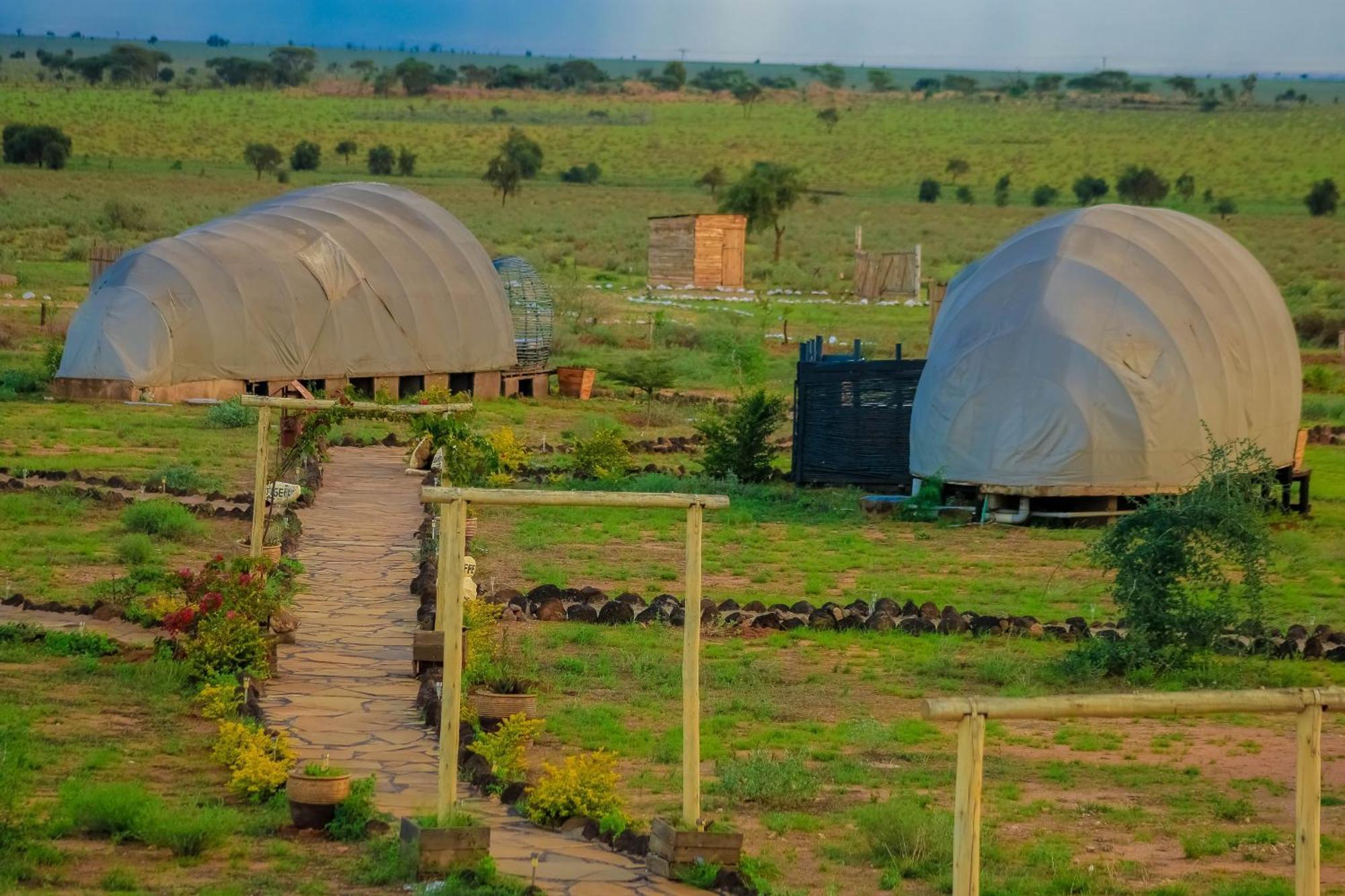 Little Amanya Camp Amboseli