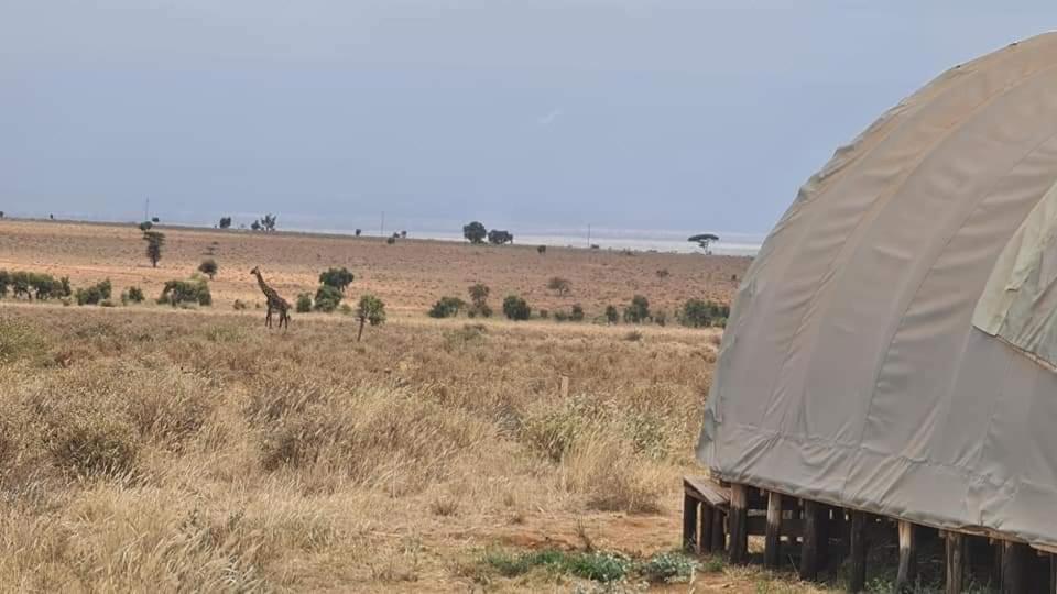 Little Amanya Camp *