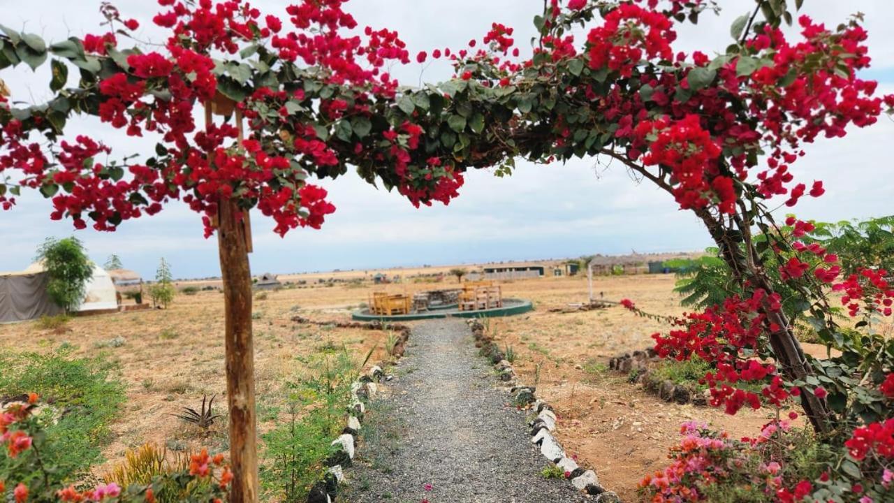 Little Amanya Camp *
